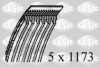 SASIC 1776041 V-Ribbed Belts